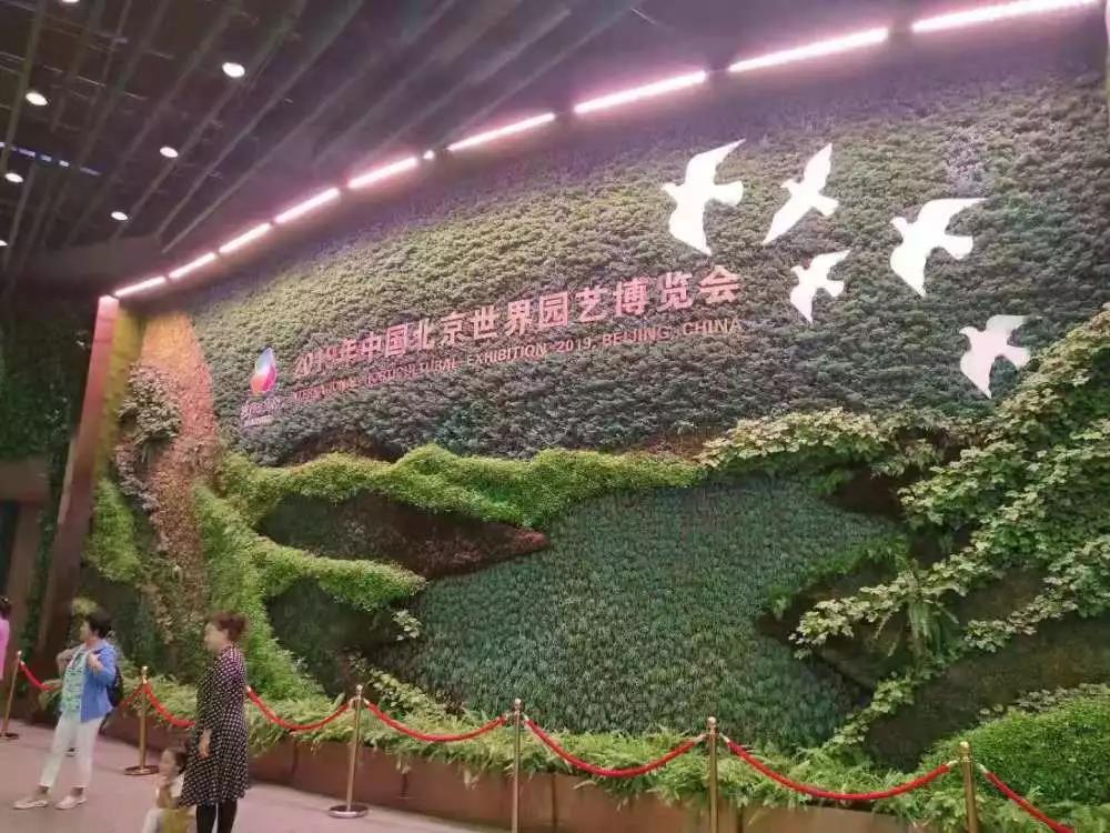 金秋团建之旅——爱在赏金国际 金秋团建之旅——爱在赏金国际